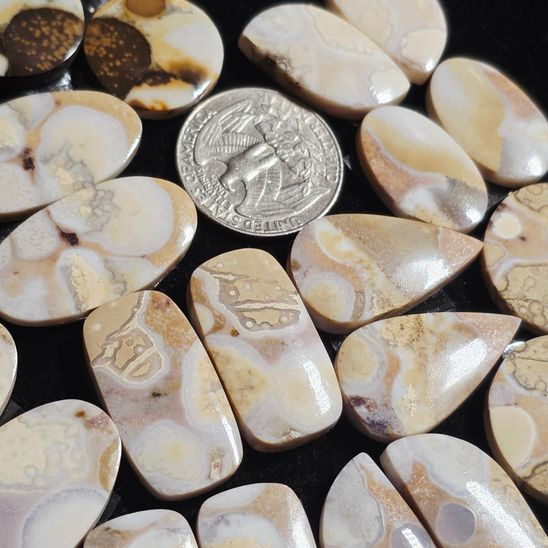 Cobra Jasper Cabochon Pair - Irregular (Random Pick)