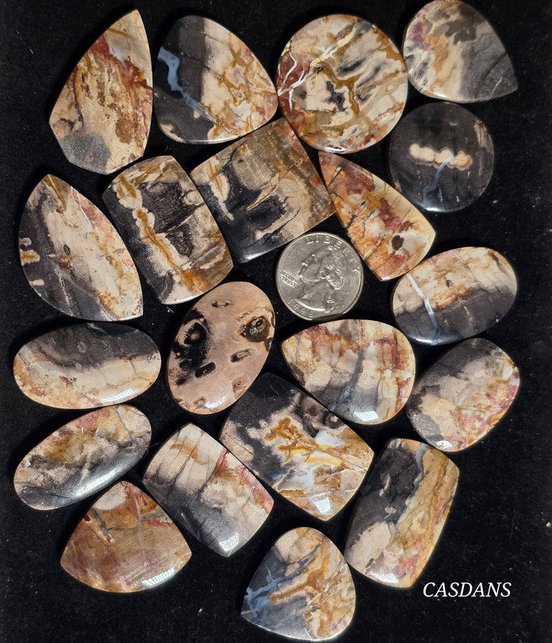 ***IMPERFECT *** 20 Piece Lot Petrified Wood Cabochons