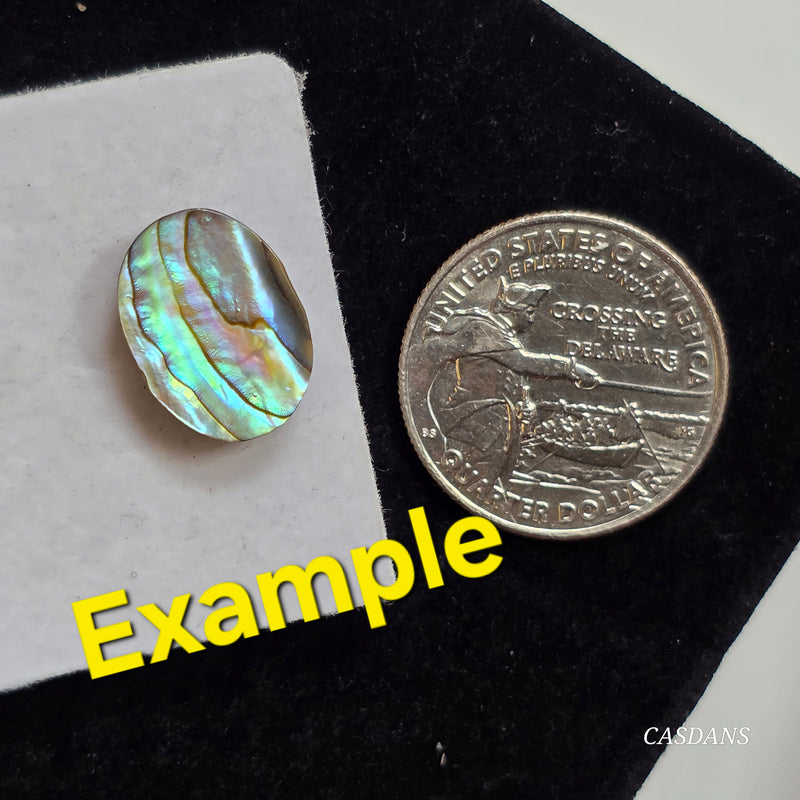 Abalone Shell 12x16mm Oval Cabochon - Calibrated (1Piece)