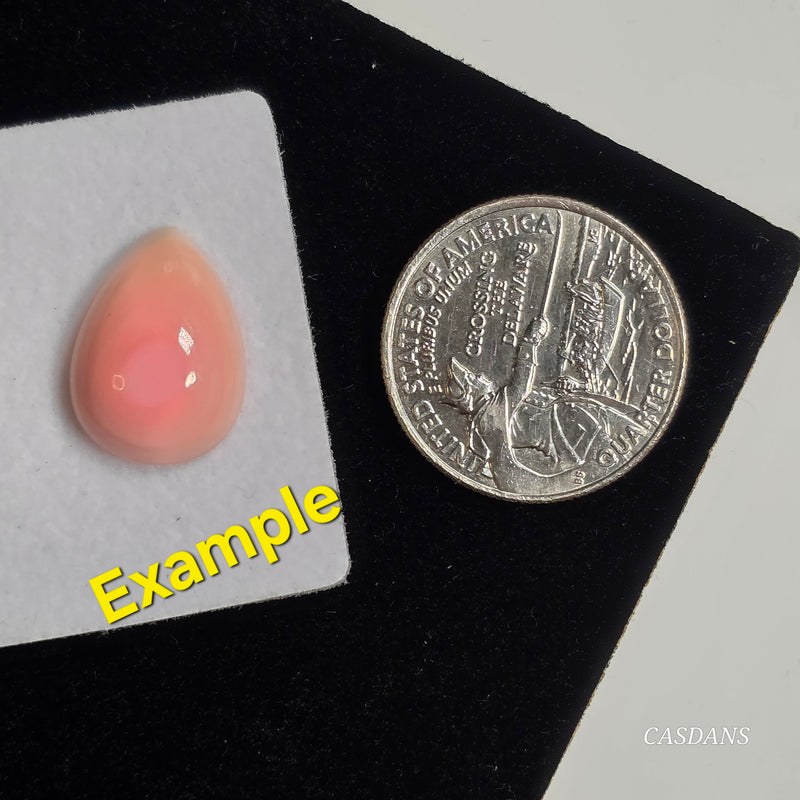 Queen Conch Shell Cabochon 13x18mm Pear - Calibrated (1 Piece)