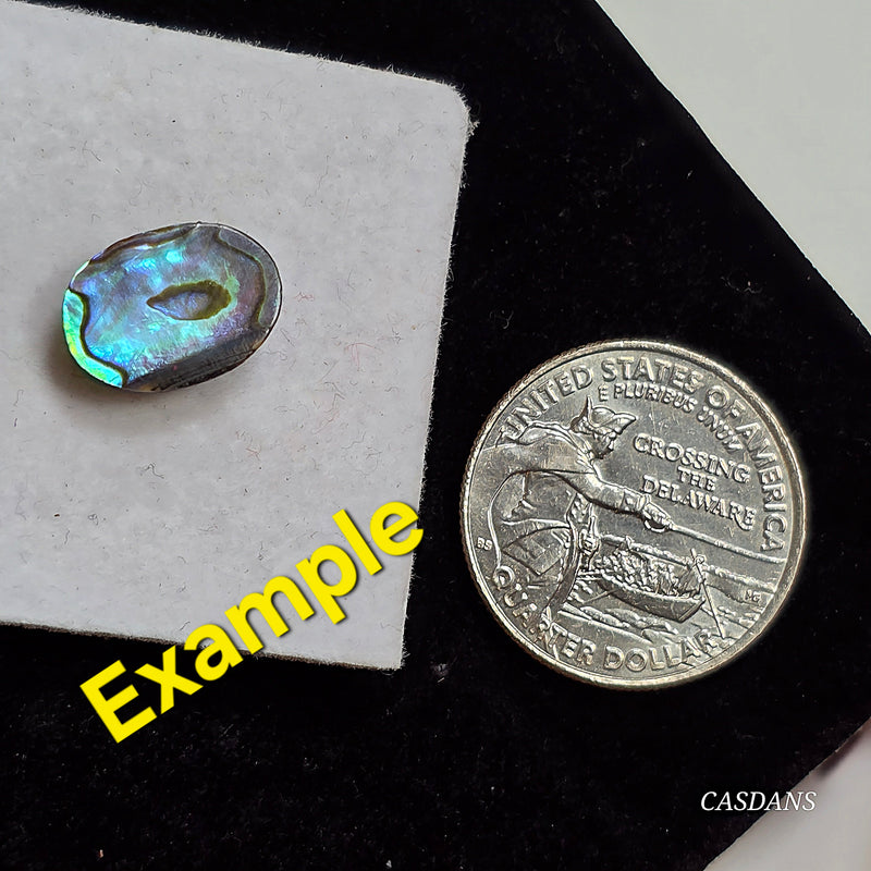 Abalone Shell 10x14mm Oval Cabochon - Calibrated (1Piece)