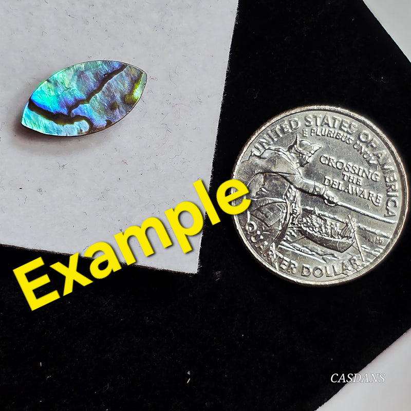 Abalone Shell 8x16mm Marquis Cabochon - Calibrated (1Piece)