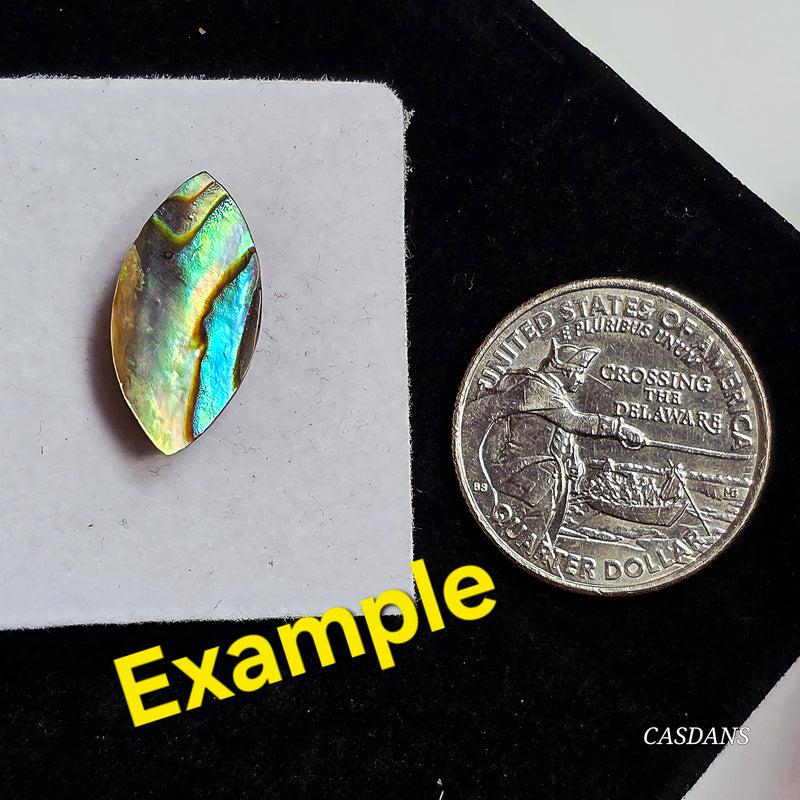 Abalone Shell 10x20mm Marquis Cabochon - Calibrated (1Piece)