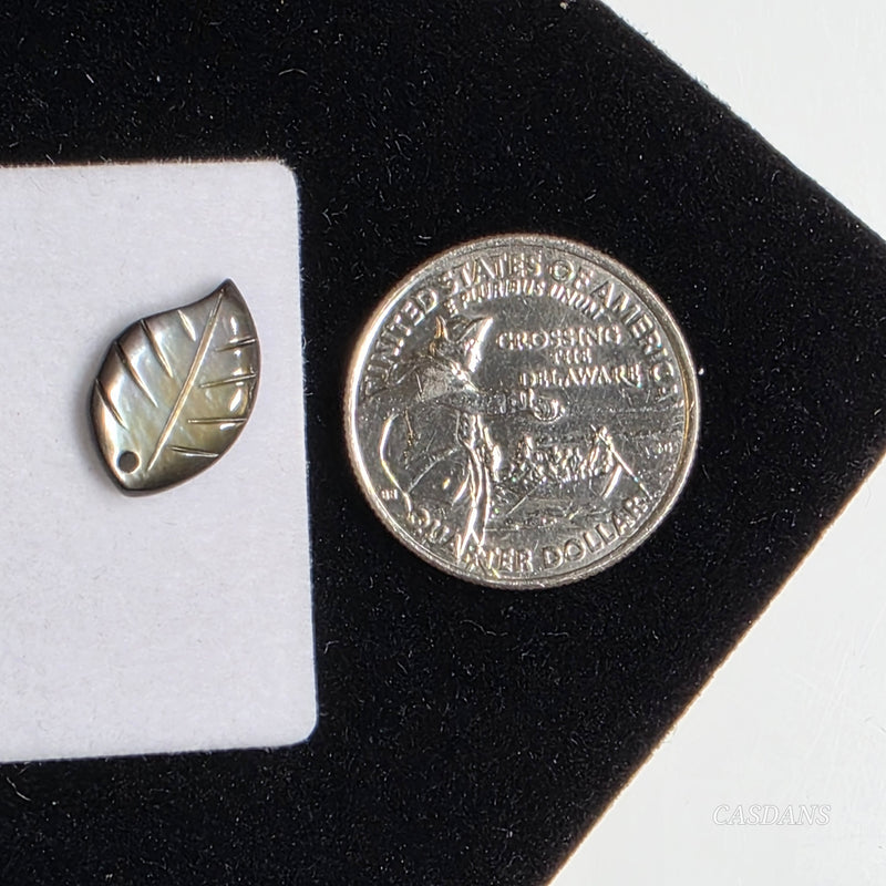 Black Lip Mother of Pearl Shell Leaf Bead 10x15mm
