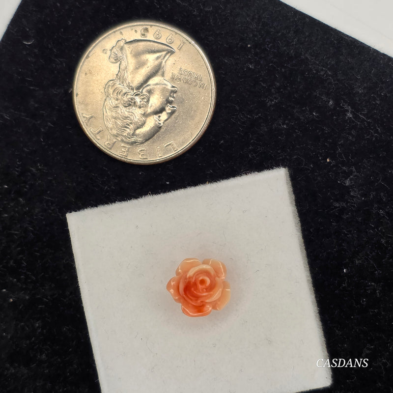 10mm Shell Powder Rose Bead - Tea Rose