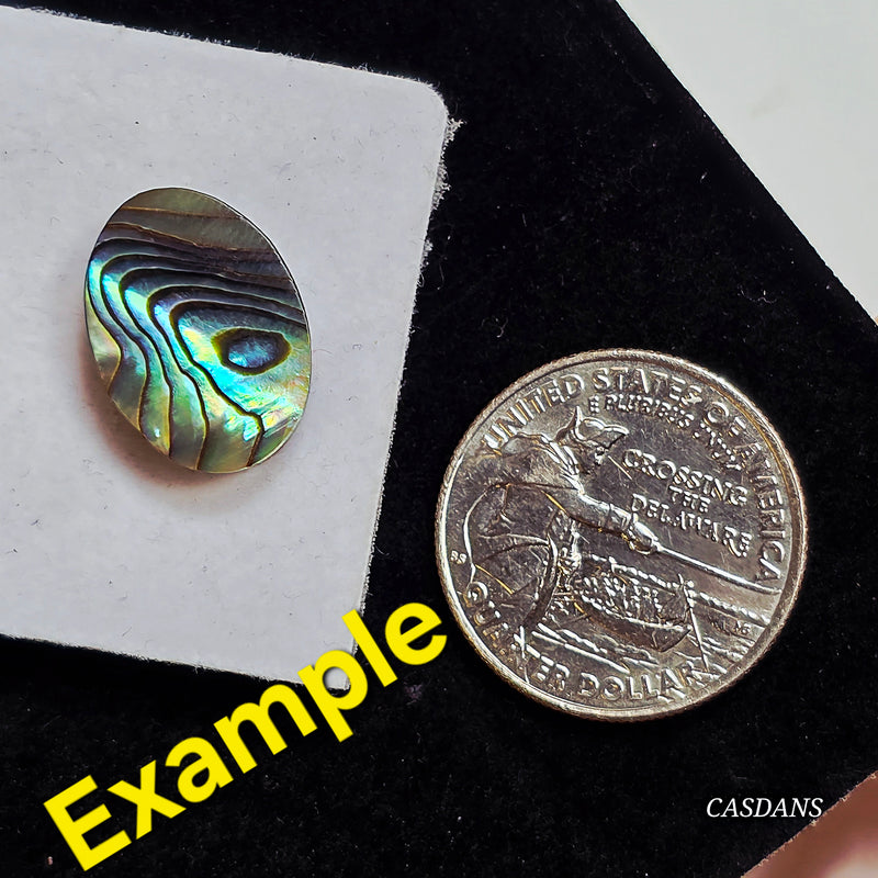 Abalone Shell 13x18mm Oval Cabochon - Calibrated (1Piece)