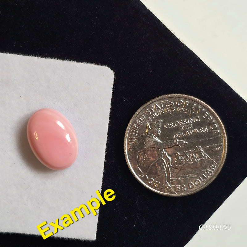 Queen Conch Shell Cabochon 10x14mm Oval - Calibrated (1 Piece)