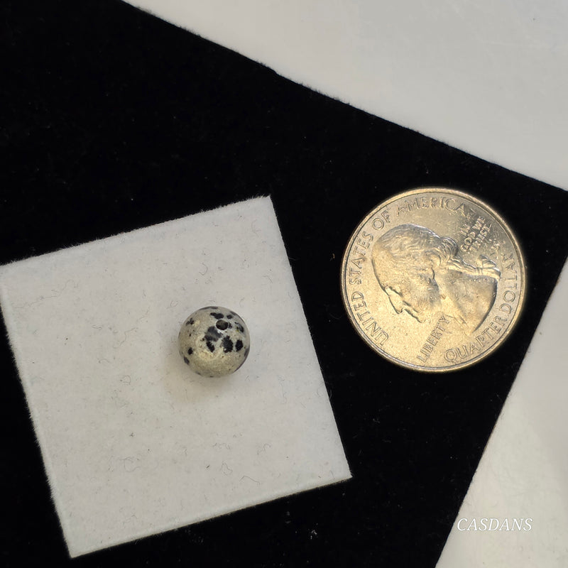 Dalmatian Stone 8mm Smooth Round Bead