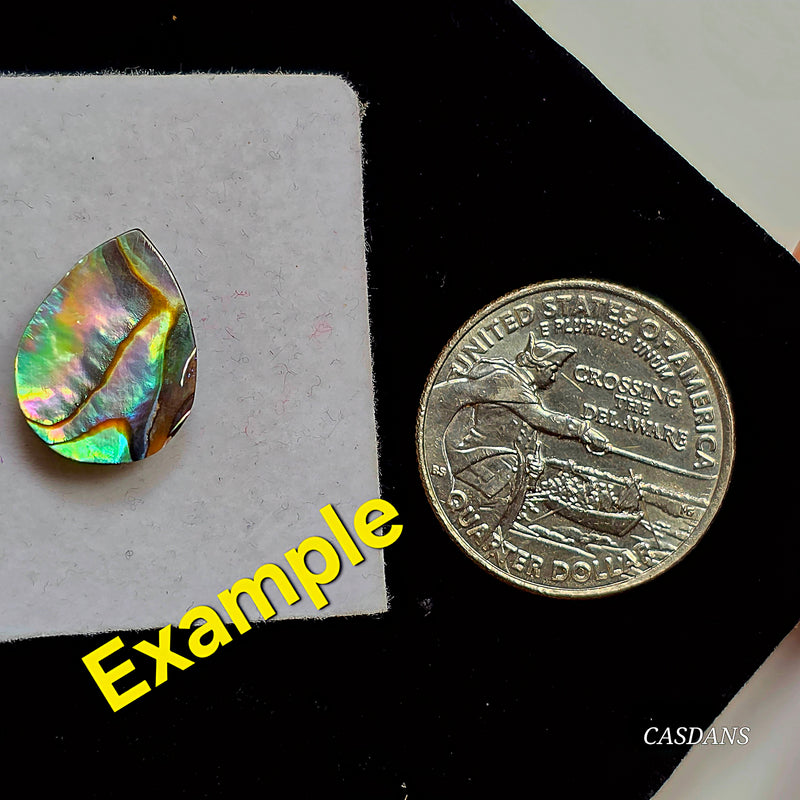 Abalone Shell 12x16mm Pear Cabochon - Calibrated (1Piece)