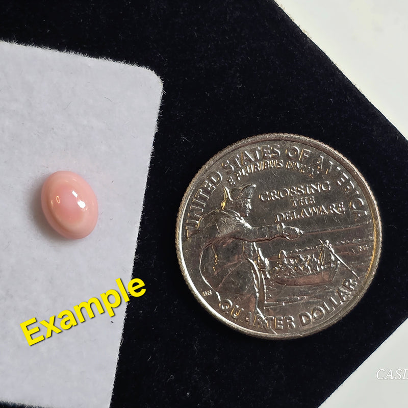 Queen Conch Shell Cabochon 6x8mm Oval - Calibrated (1 Piece)