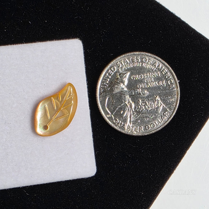 Mother of Pearl Shell Leaf Bead 10x16mm