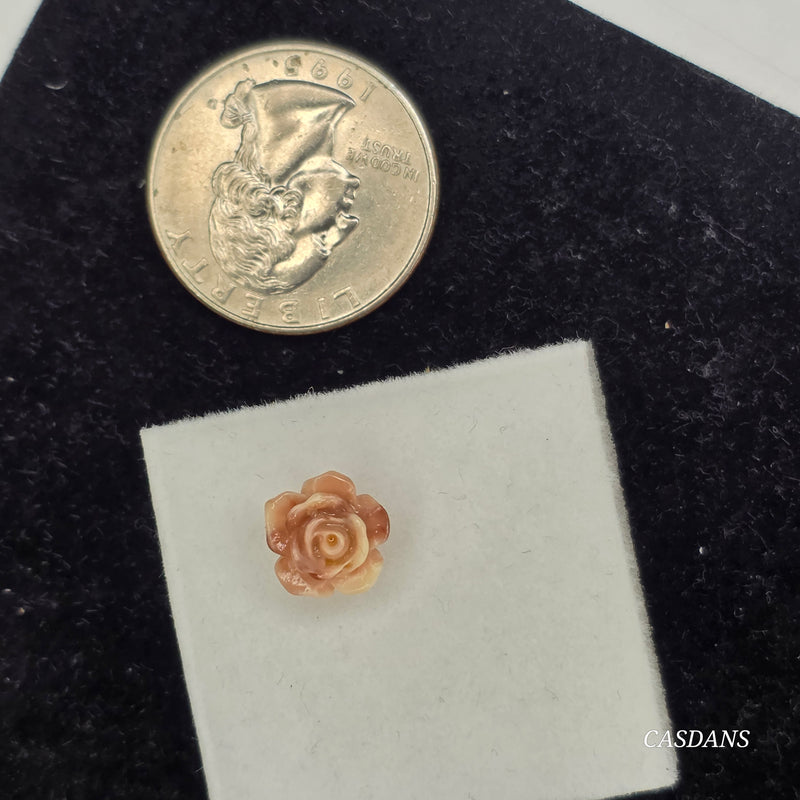 10mm Shell Powder Rose Bead - Tawny Blush