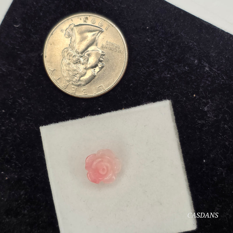 10mm Shell Powder Rose Bead - Blush