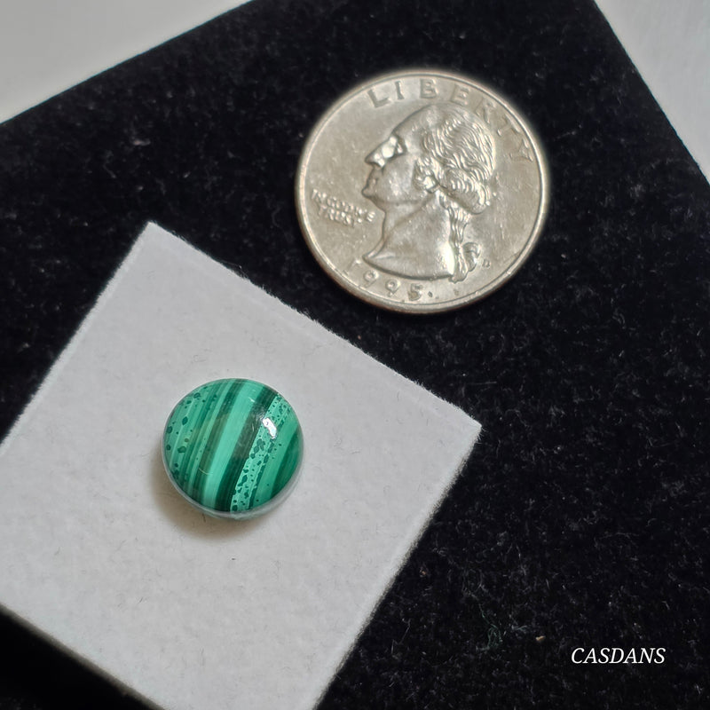 Malachite 12mm Round Cabochon