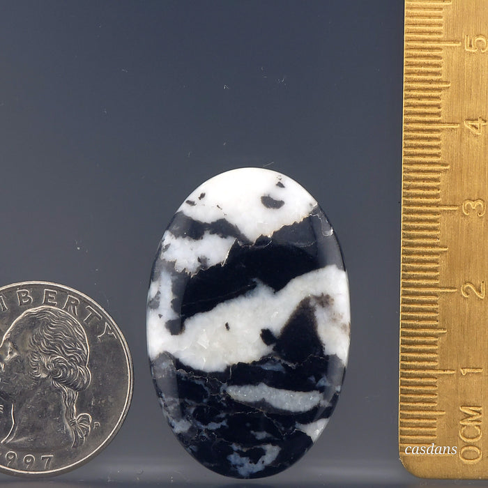 Zebra Jasper